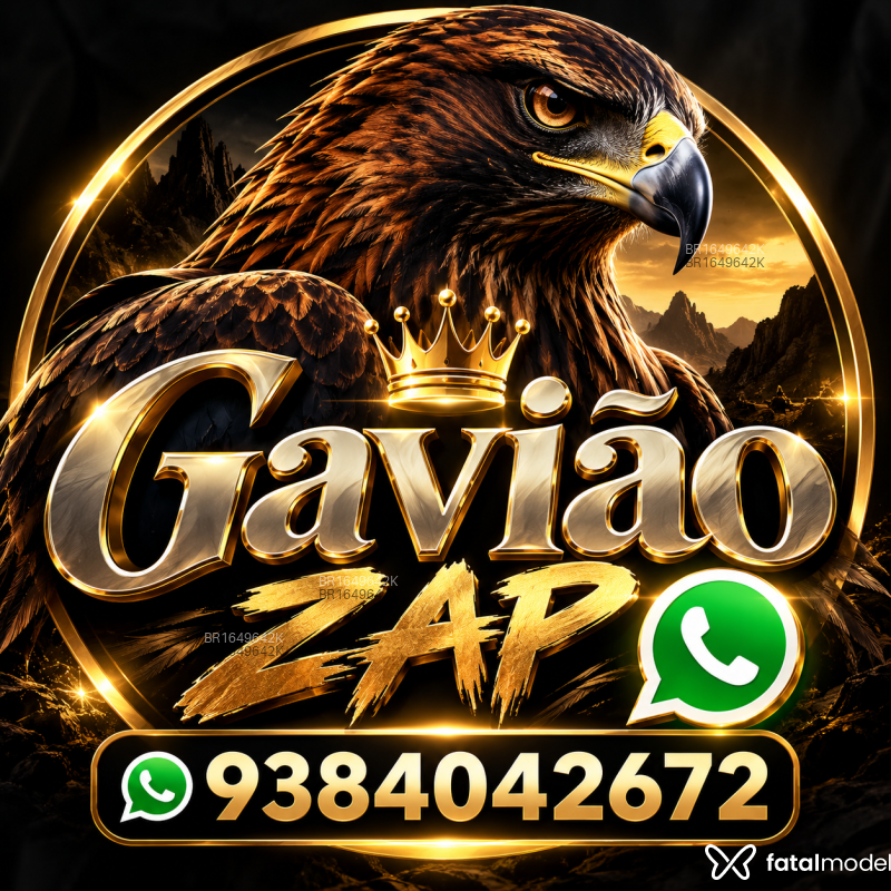 Acompanhante Gavião - Feed