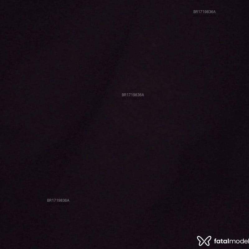 Acompanhante Leh silva - Feed