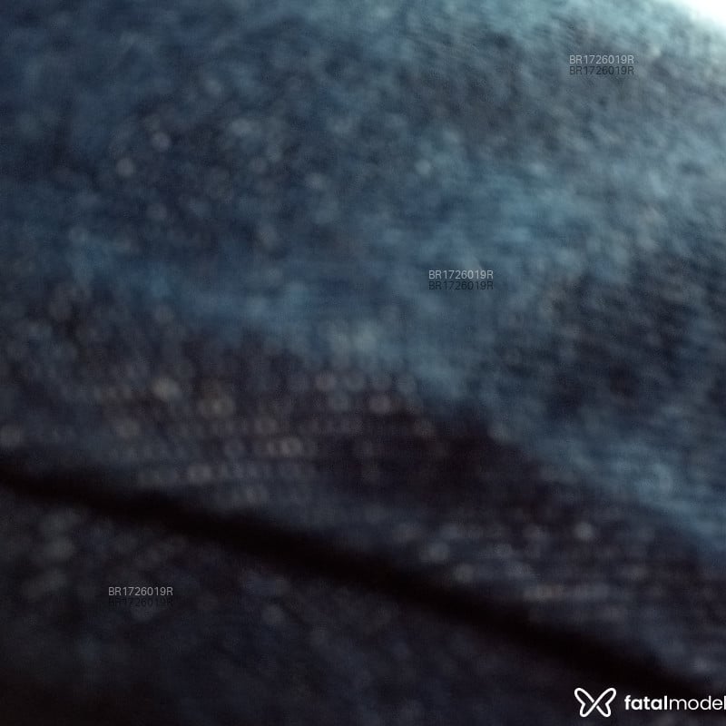 Acompanhante Netinho - Feed