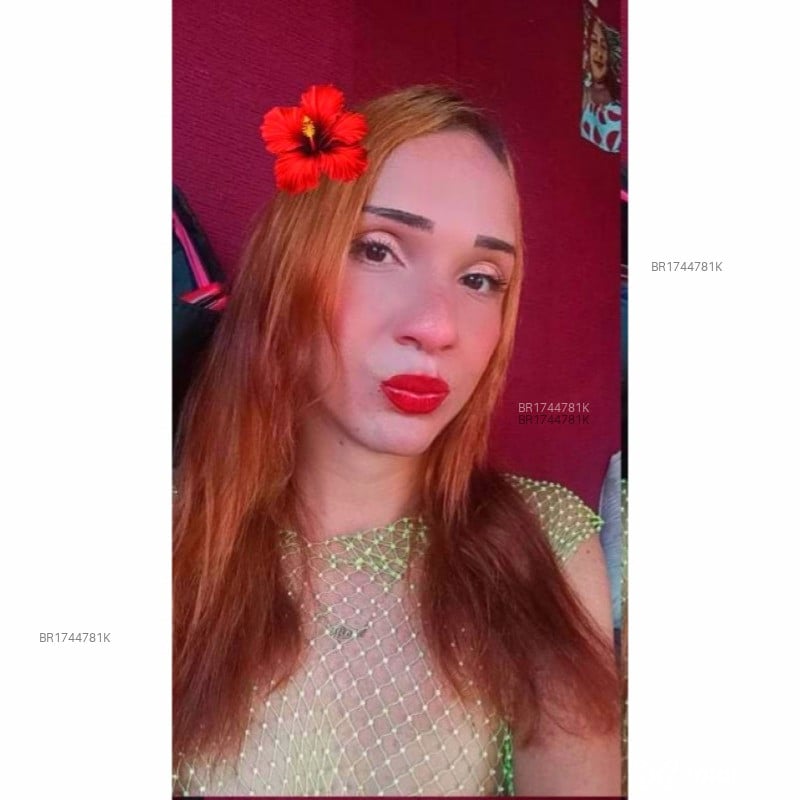 Acompanhante Mia Pantoja - Feed