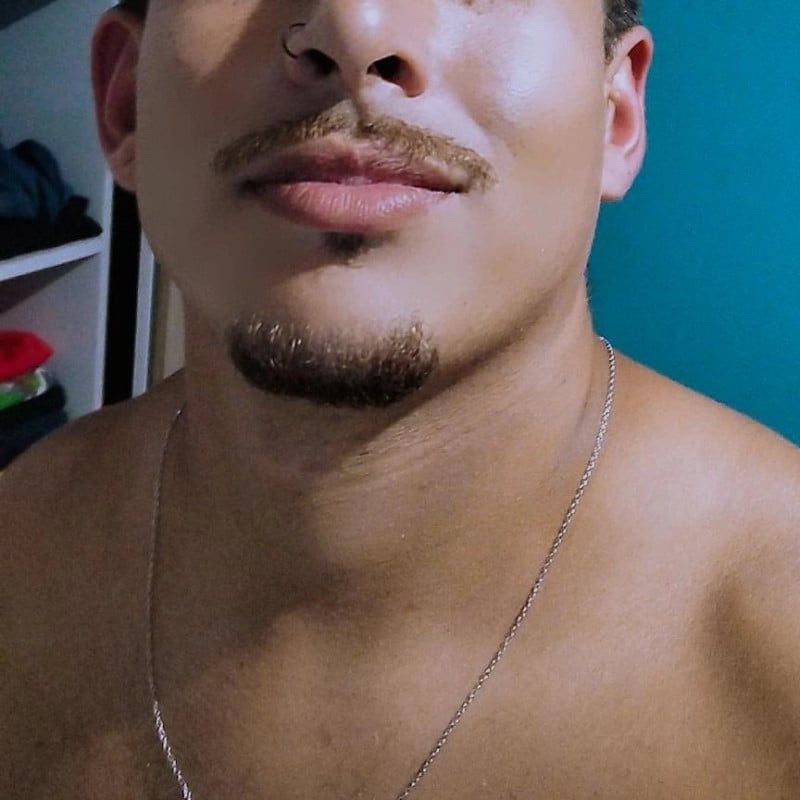 Acompanhante Preto - Feed