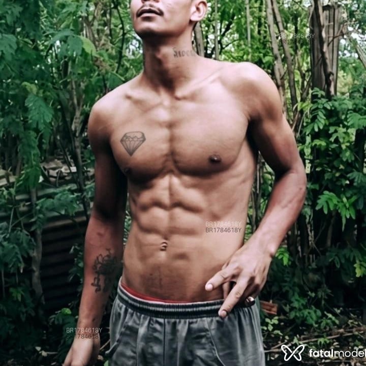 Acompanhante Diguinho Pitbul - Feed