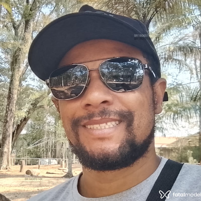 Acompanhante Tubarão - Feed