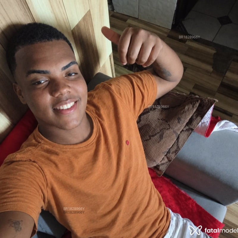 Acompanhante Selvagem - Feed