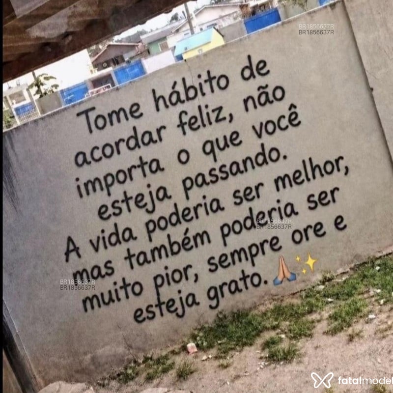 Acompanhante Queridinho - Feed