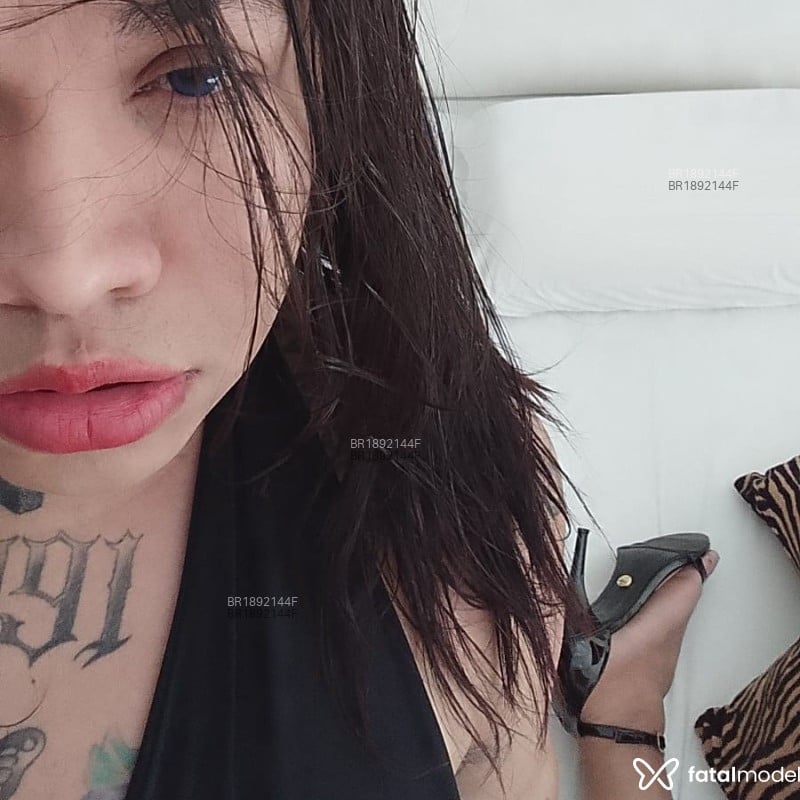 Acompanhante Carminha - Feed