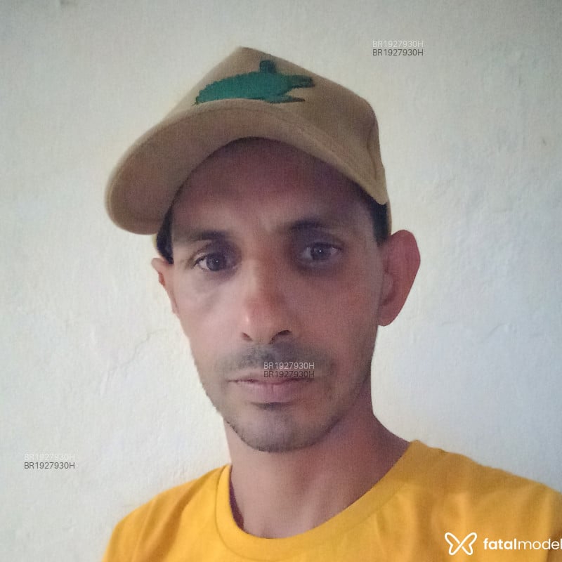 Acompanhante Cheroso - Feed