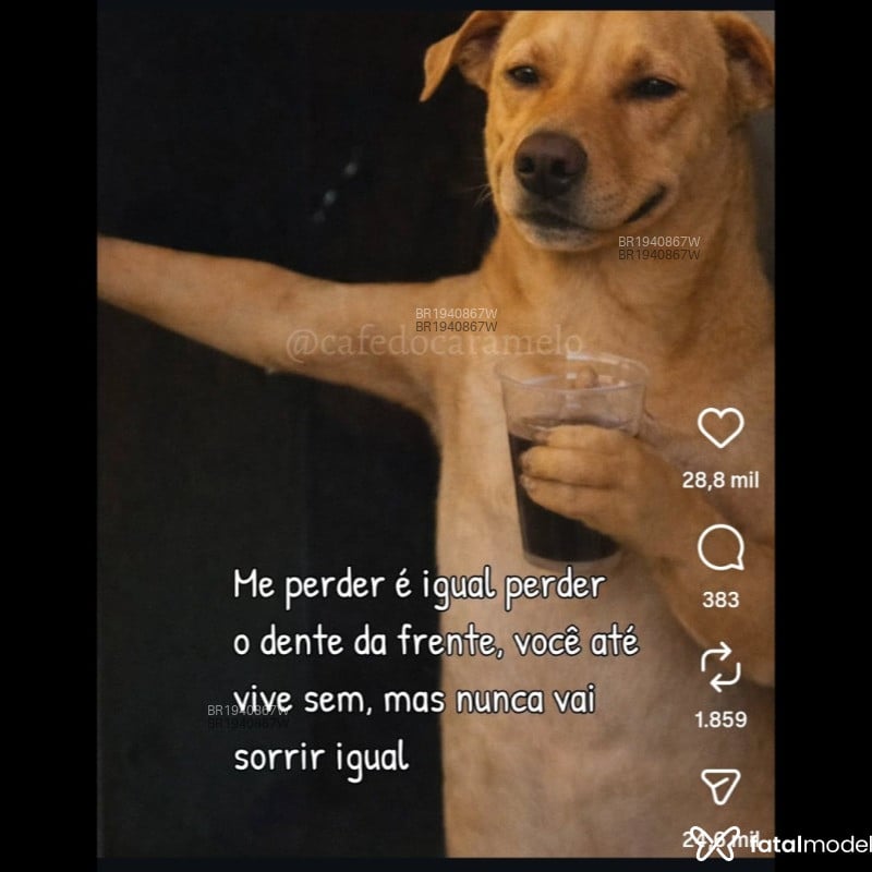 Acompanhante Pablo - Feed