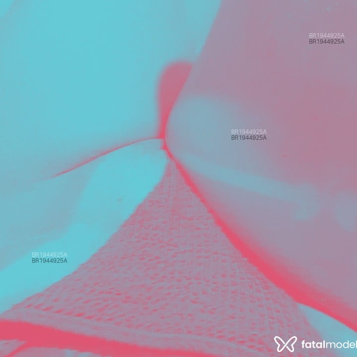 Acompanhante BelaFlor - Feed