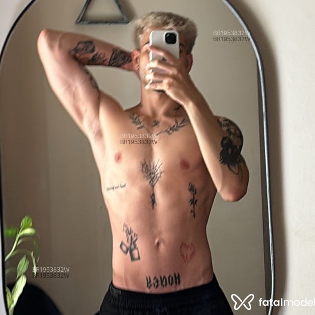 Acompanhante Zayn - Feed