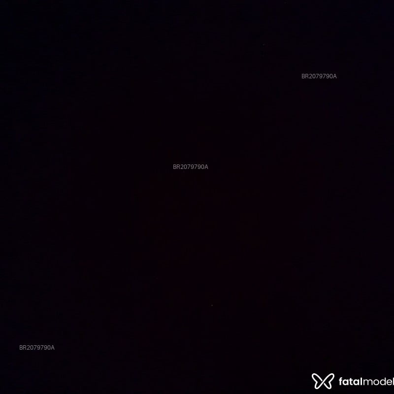 Acompanhante Talis - Feed