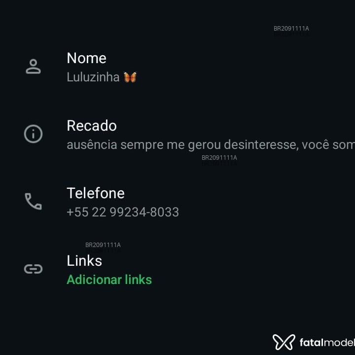 Acompanhante Luluzinha - Feed