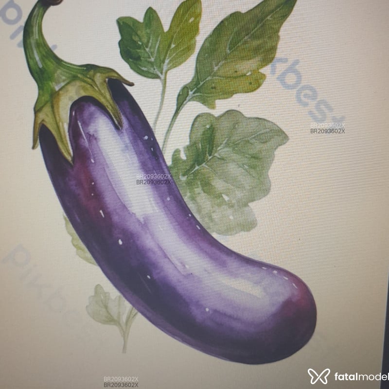 Acompanhante Berigela - Feed