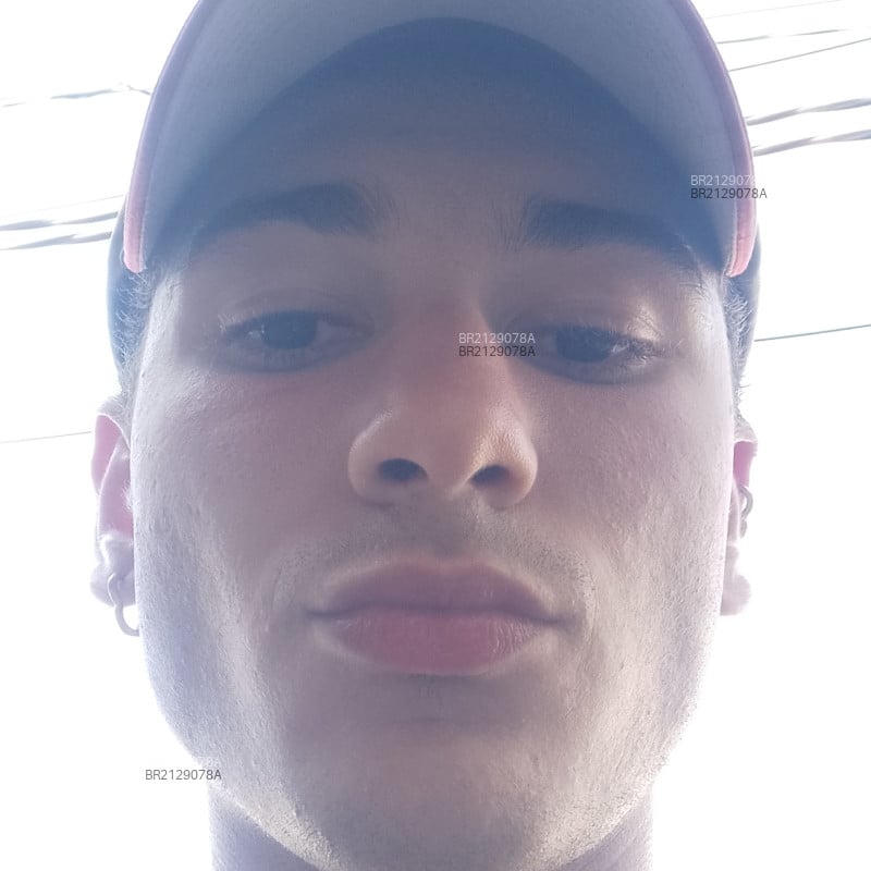 Acompanhante Lopes - Feed