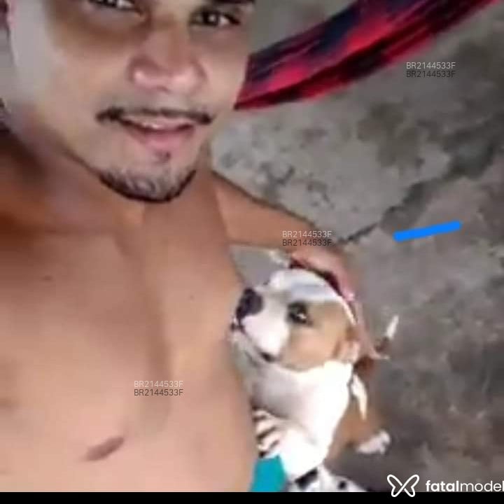 Acompanhante Santos - Feed