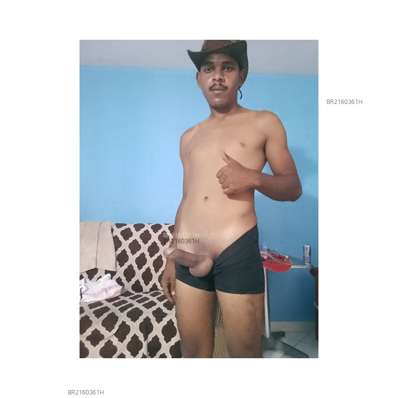 Acompanhante Shell - Feed