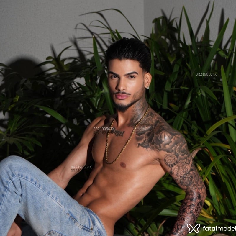 Acompanhante Vinicius Ferraz - Feed