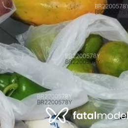 Acompanhante Ppp - Feed