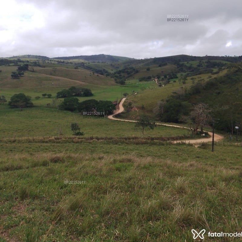 Acompanhante Ferreira - Feed