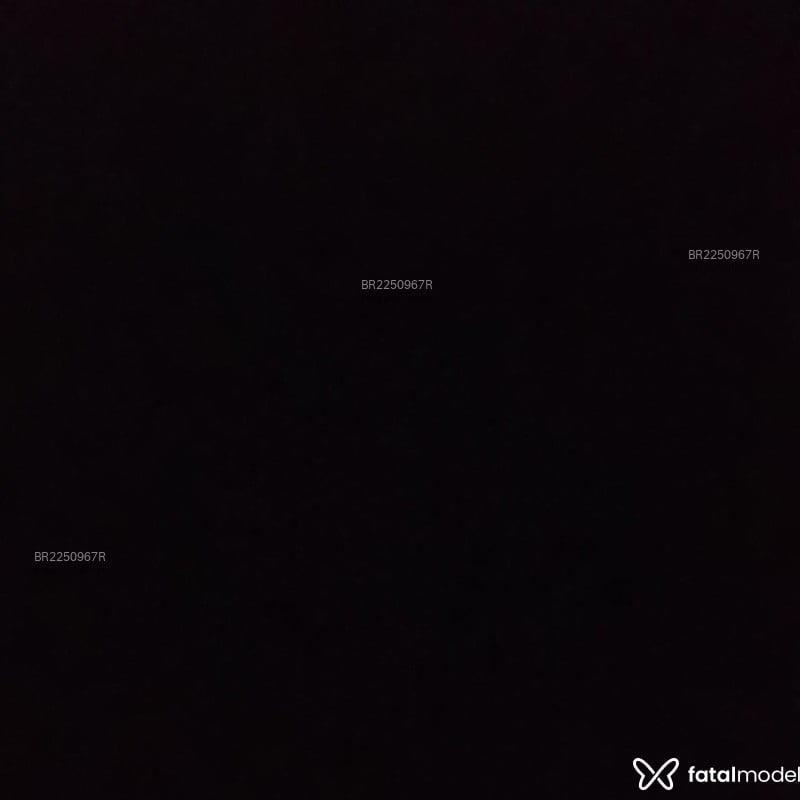 Acompanhante Nem - Feed