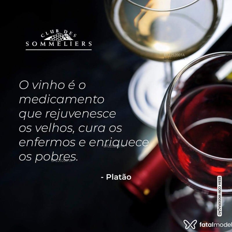 Acompanhante Noturno - Feed