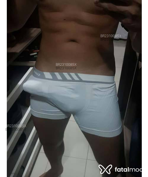 Acompanhante Ricardo - Feed