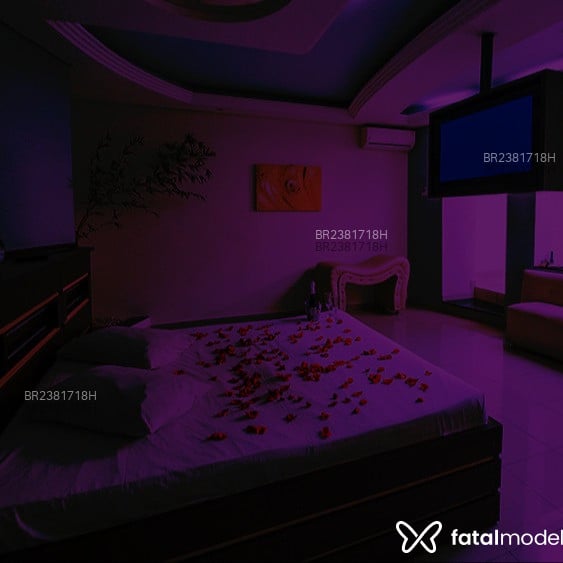Acompanhante Henrique - Feed
