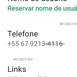 Acompanhante Nunes - Feed
