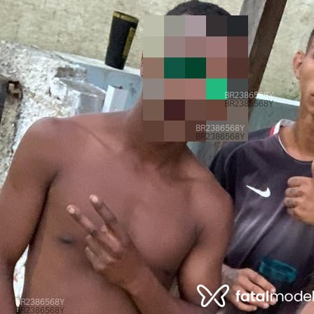 Acompanhante Neimar Jose - Feed
