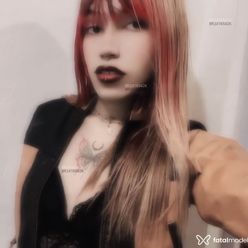 Acompanhante Evellyn - Feed
