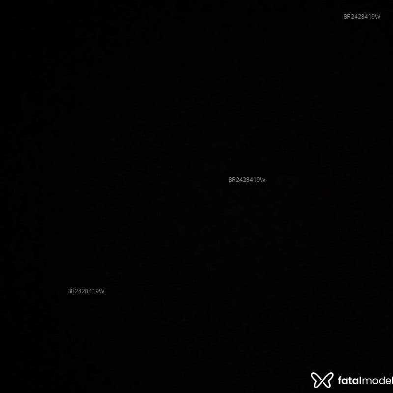 Acompanhante Rafaella - Feed