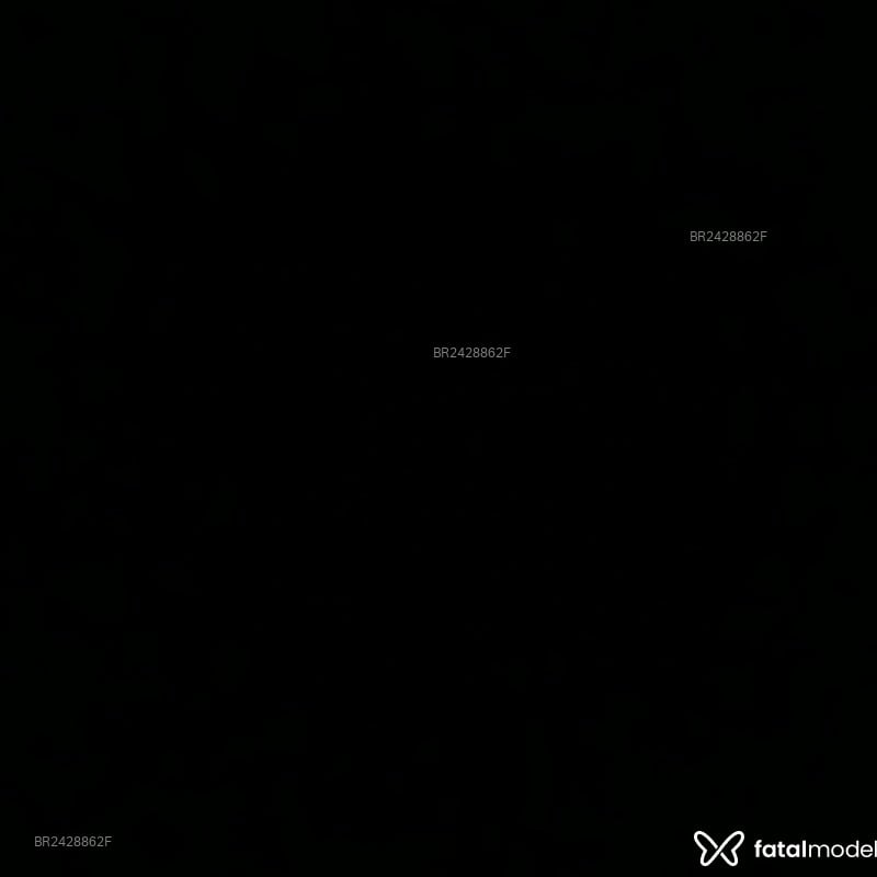 Acompanhante Vitória - Feed
