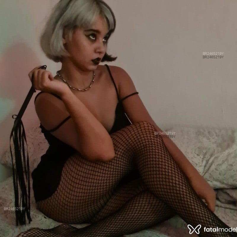 Acompanhante Gatto - Feed