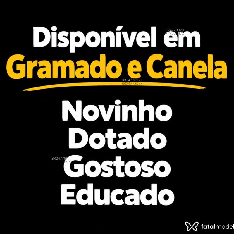 Acompanhante Gabriel Mete Forte - Feed