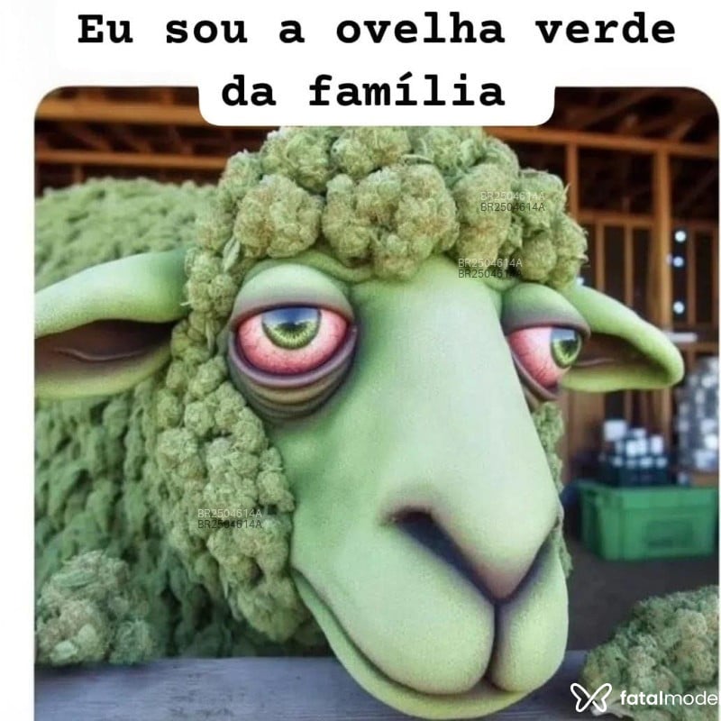 Acompanhante Mateus - Feed