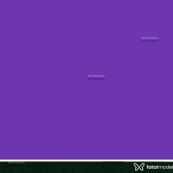 Acompanhante Eduardo Lourenço - Feed