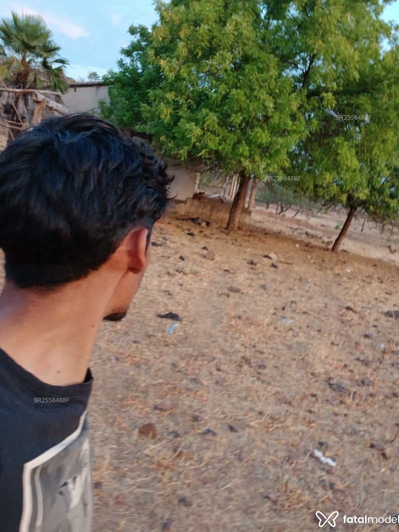 Acompanhante Pedro - Feed