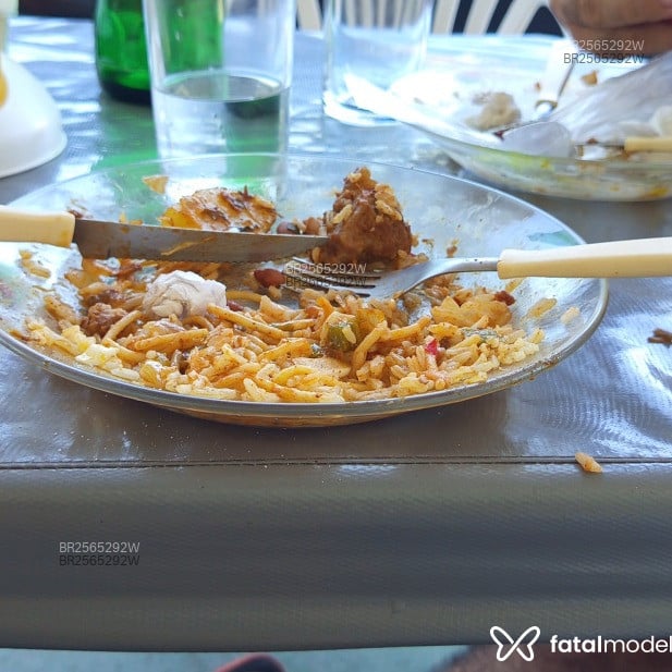 Acompanhante Jumentes - Feed