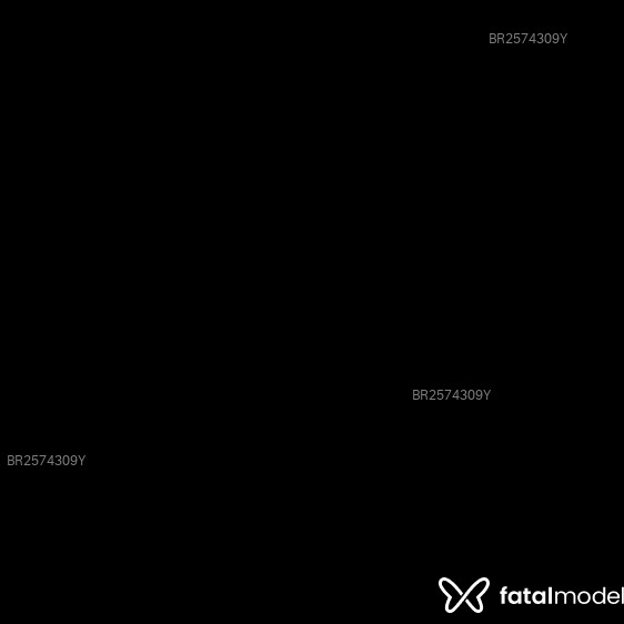 Acompanhante Estrela - Feed
