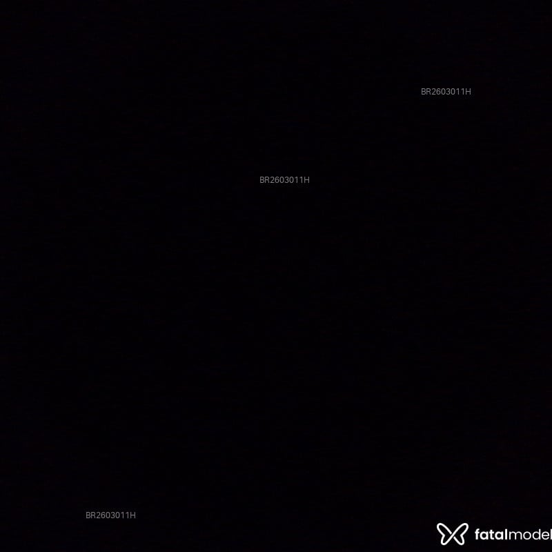 Acompanhante Leandro - Feed