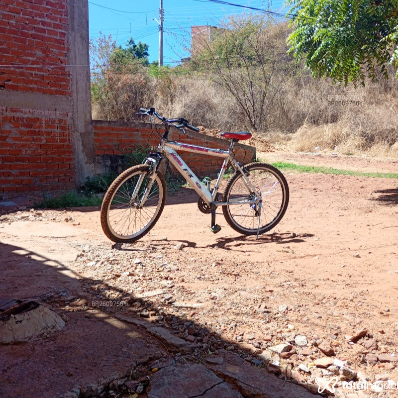 Acompanhante Paulinho - Feed