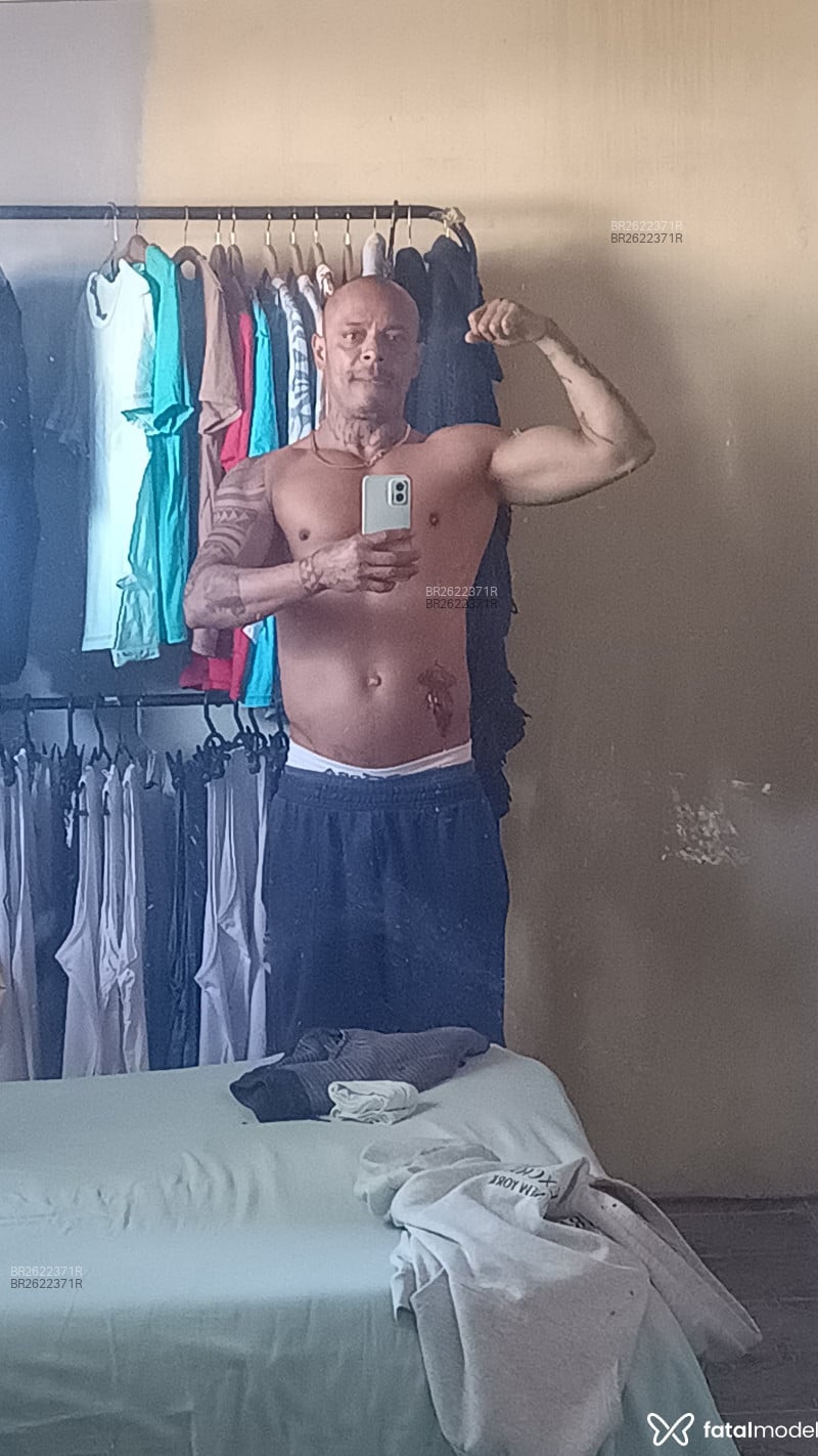 Acompanhante Marromfit - Feed