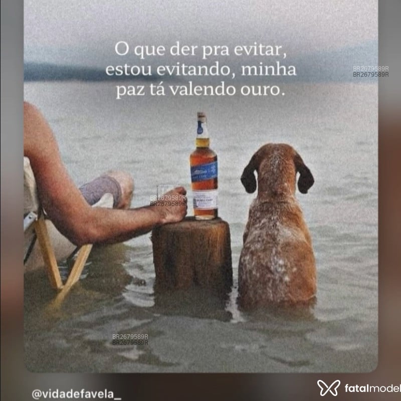 Acompanhante Danna Chagas - Feed