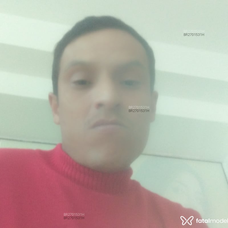Acompanhante Mil Grau - Feed