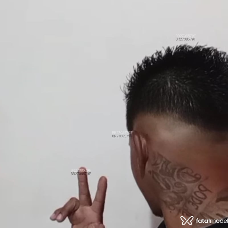 Acompanhante Cesar - Feed