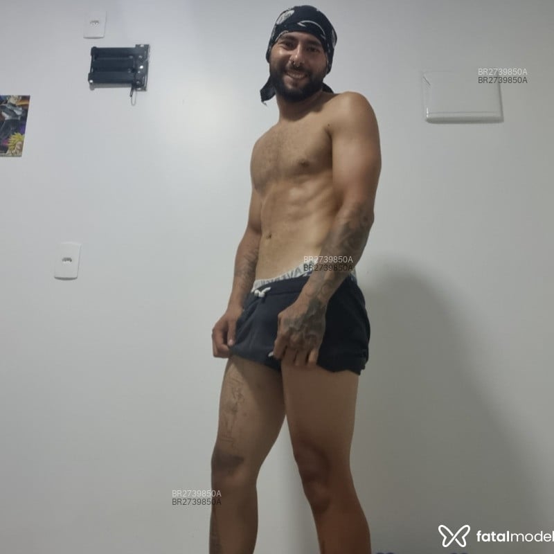 Acompanhante Andy - Feed