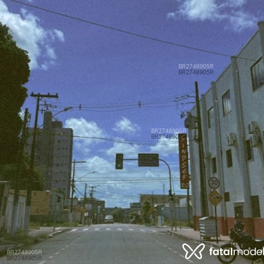 Acompanhante Oliveira - Feed