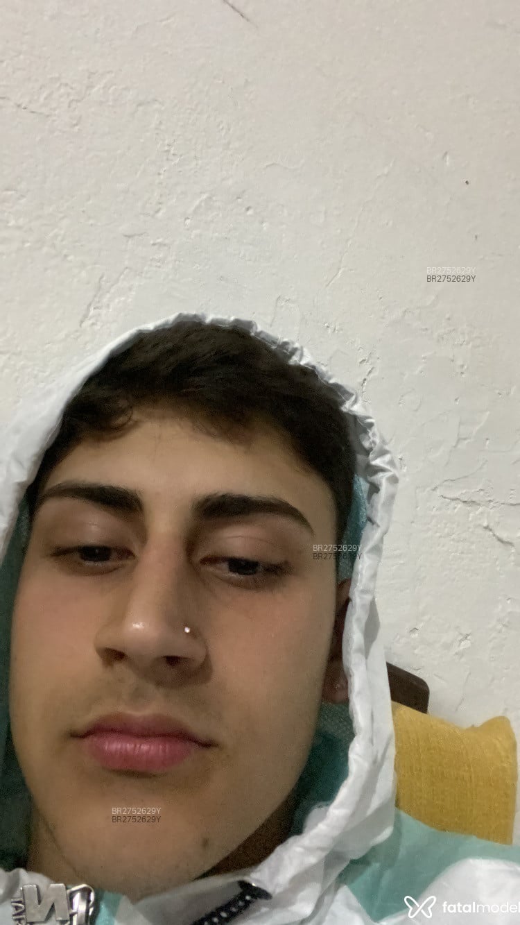 Acompanhante onovinho - Feed