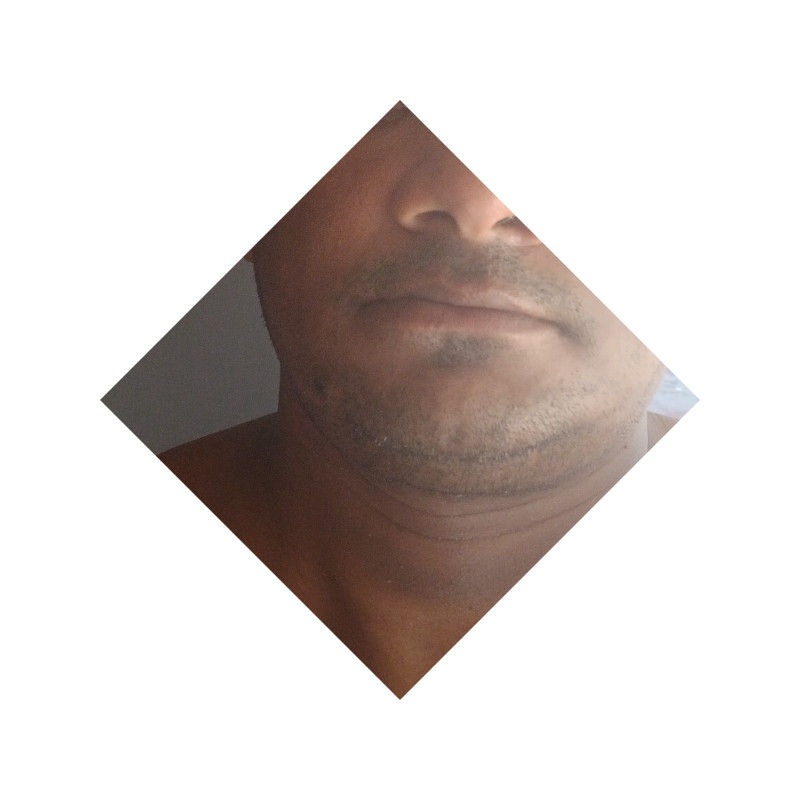 Acompanhante George - Feed
