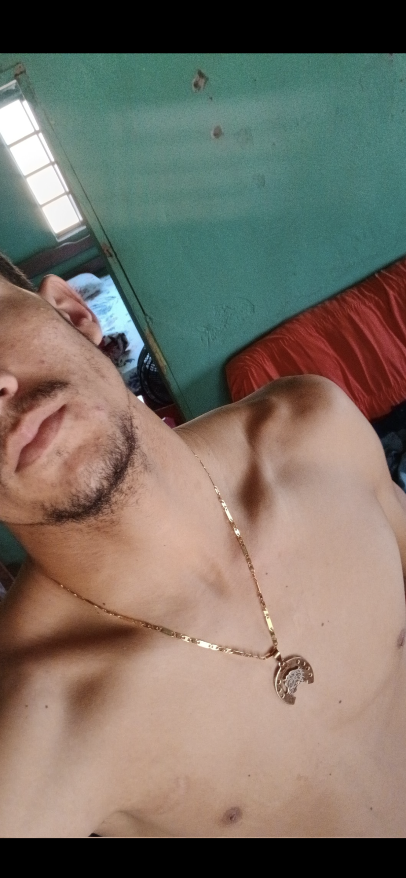 Acompanhante Cesar - Feed